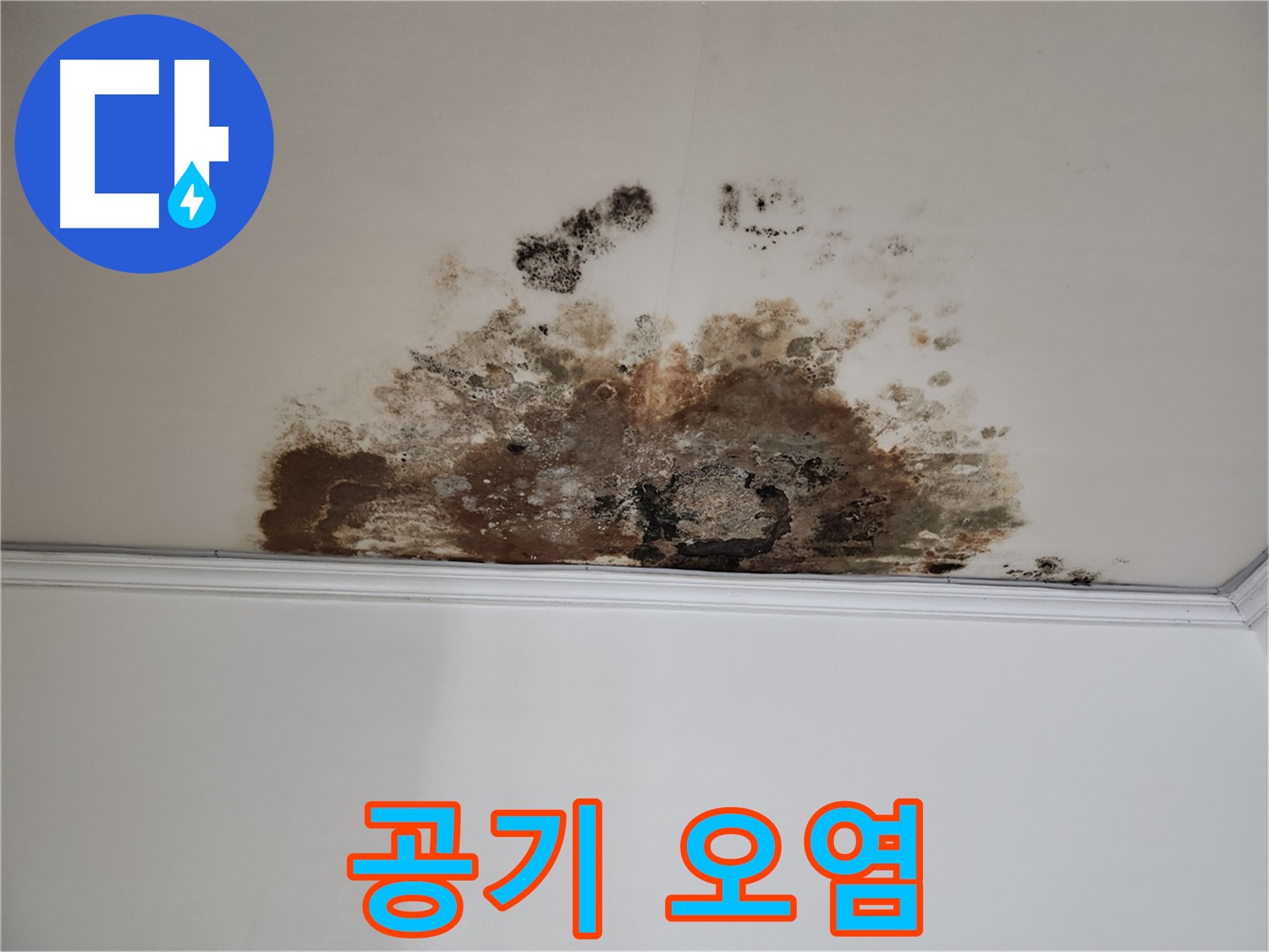 마포구 용강동 현대홈타운 천장 누수 - 실내 공기 오염