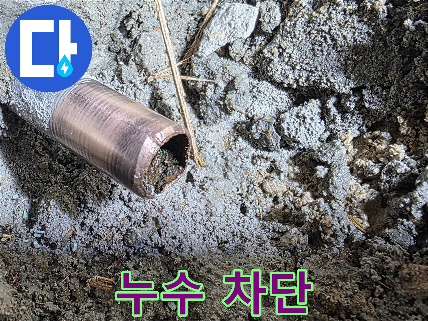 마포구 용강동 새창로8길 주택에서 정확한 누수 진단 - 첨단 장비를 사용하여 숨어있는 누수 지점을 찾아냈습니다.