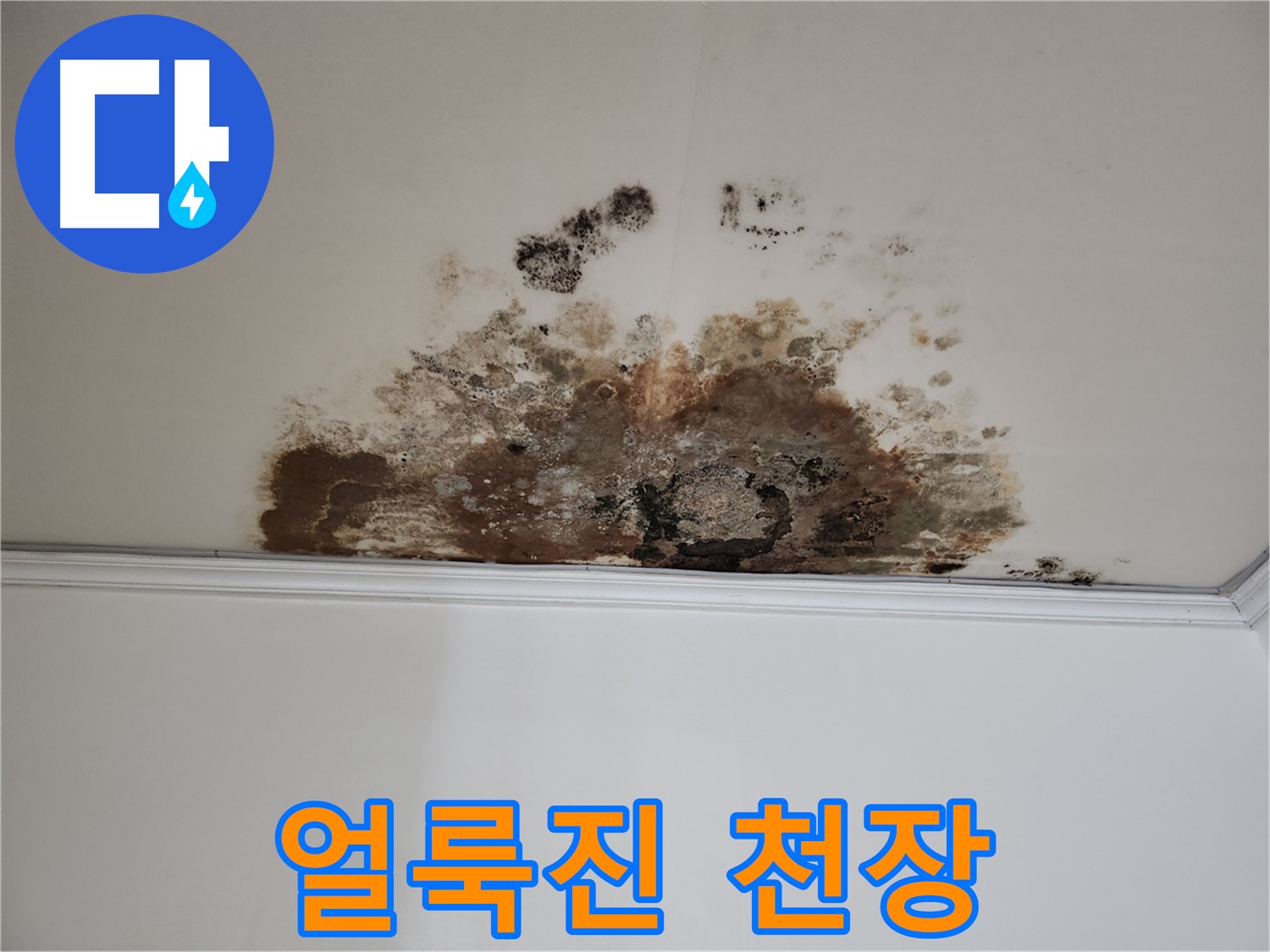 용강동 누수 - 곰팡이, 얼룩진 천장