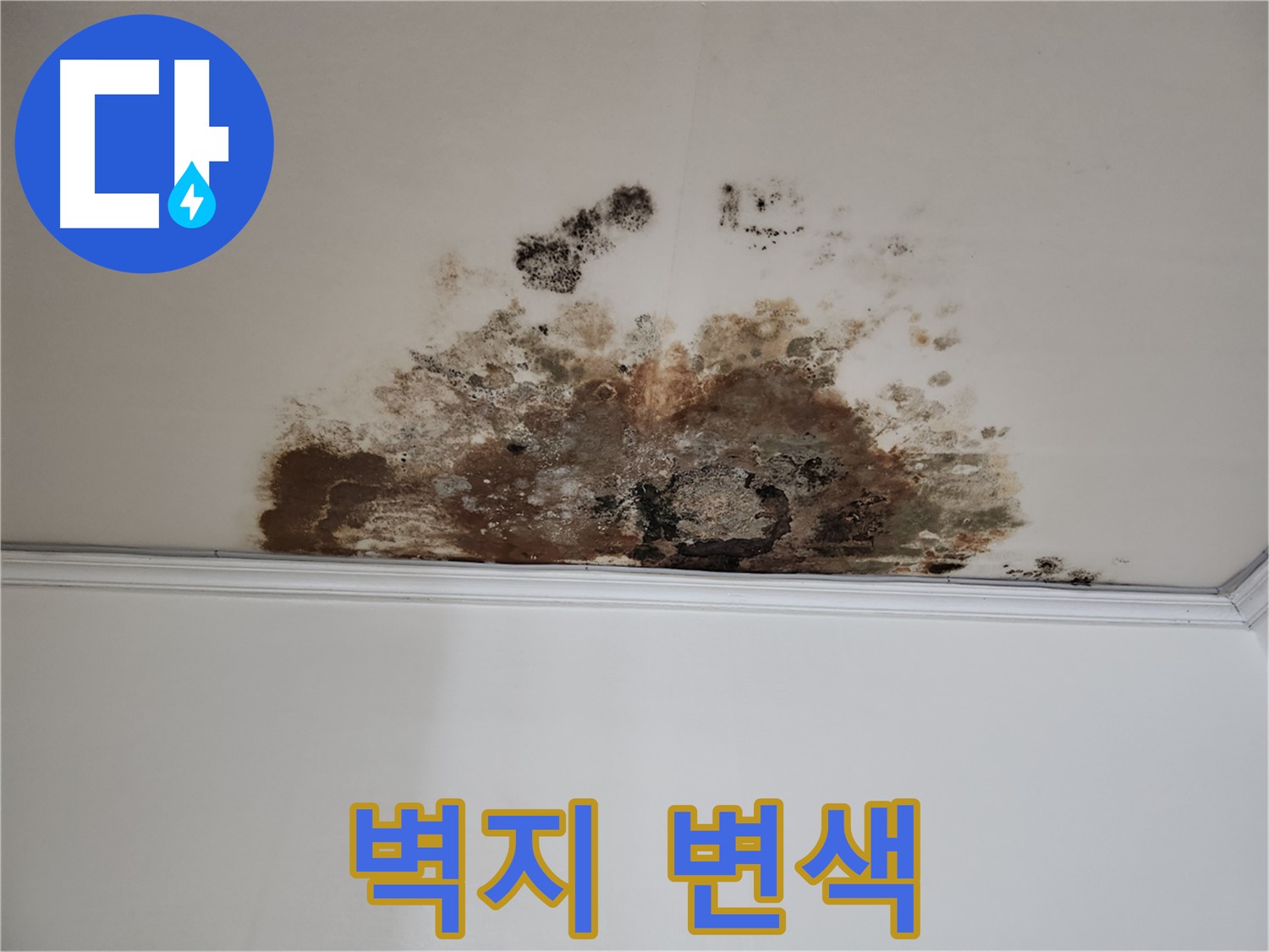 용강동 누수 - 곰팡이로 변색된 벽지