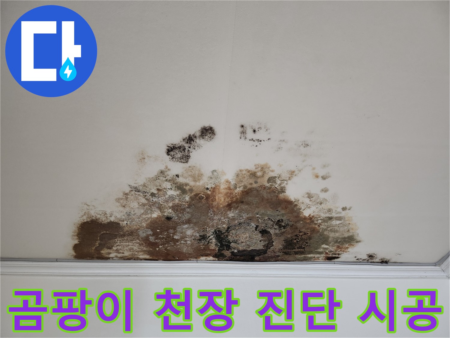 용강동 누수 해결사 - 곰팡이 천장 꼼꼼 진단, 확실 시공