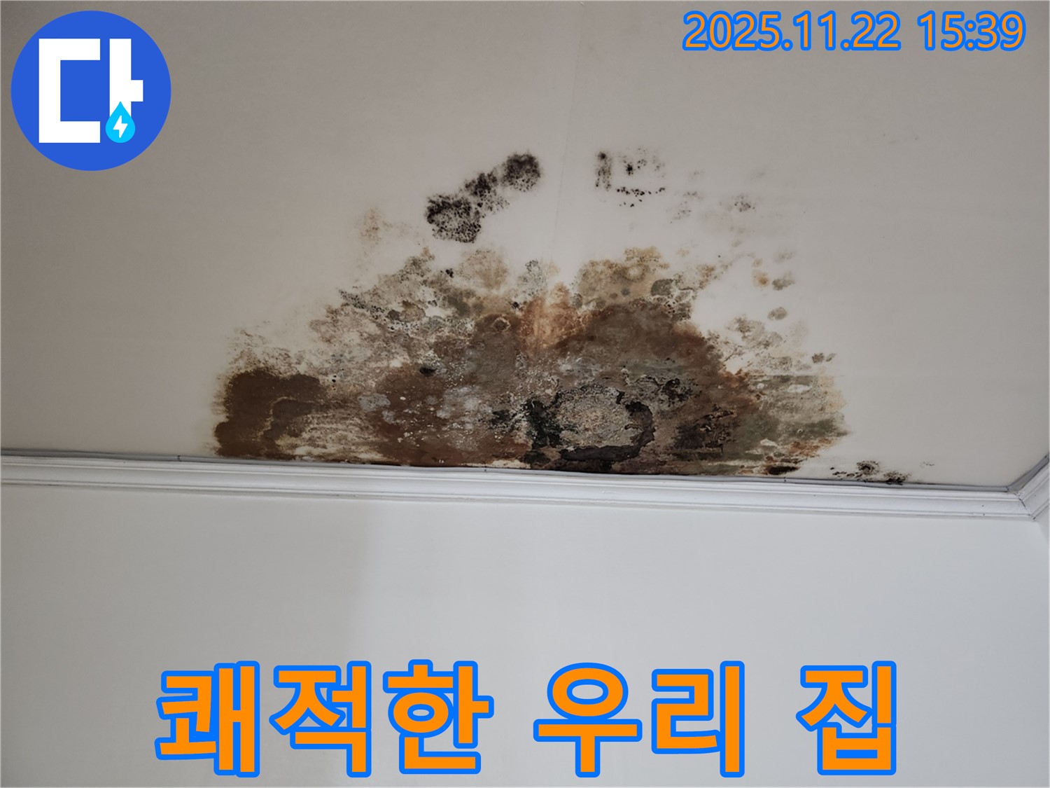 용강동 새창로8길 누수 - 곰팡이 OUT, 쾌적한 우리 집 만들기