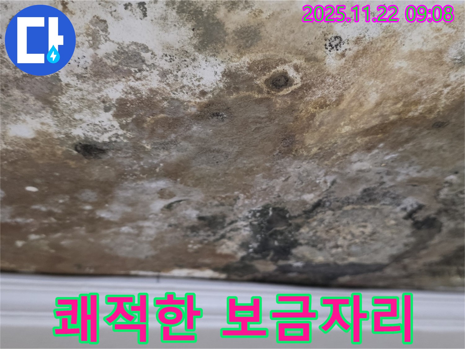 용강동 아파트 - 곰팡이 싹쓸이, 쾌적한 보금자리 완성