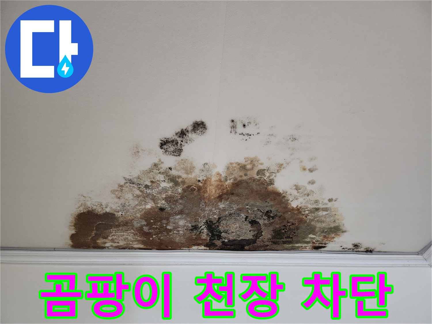 용강동 아파트 누수 - 곰팡이 천장 완벽 차단 프로젝트