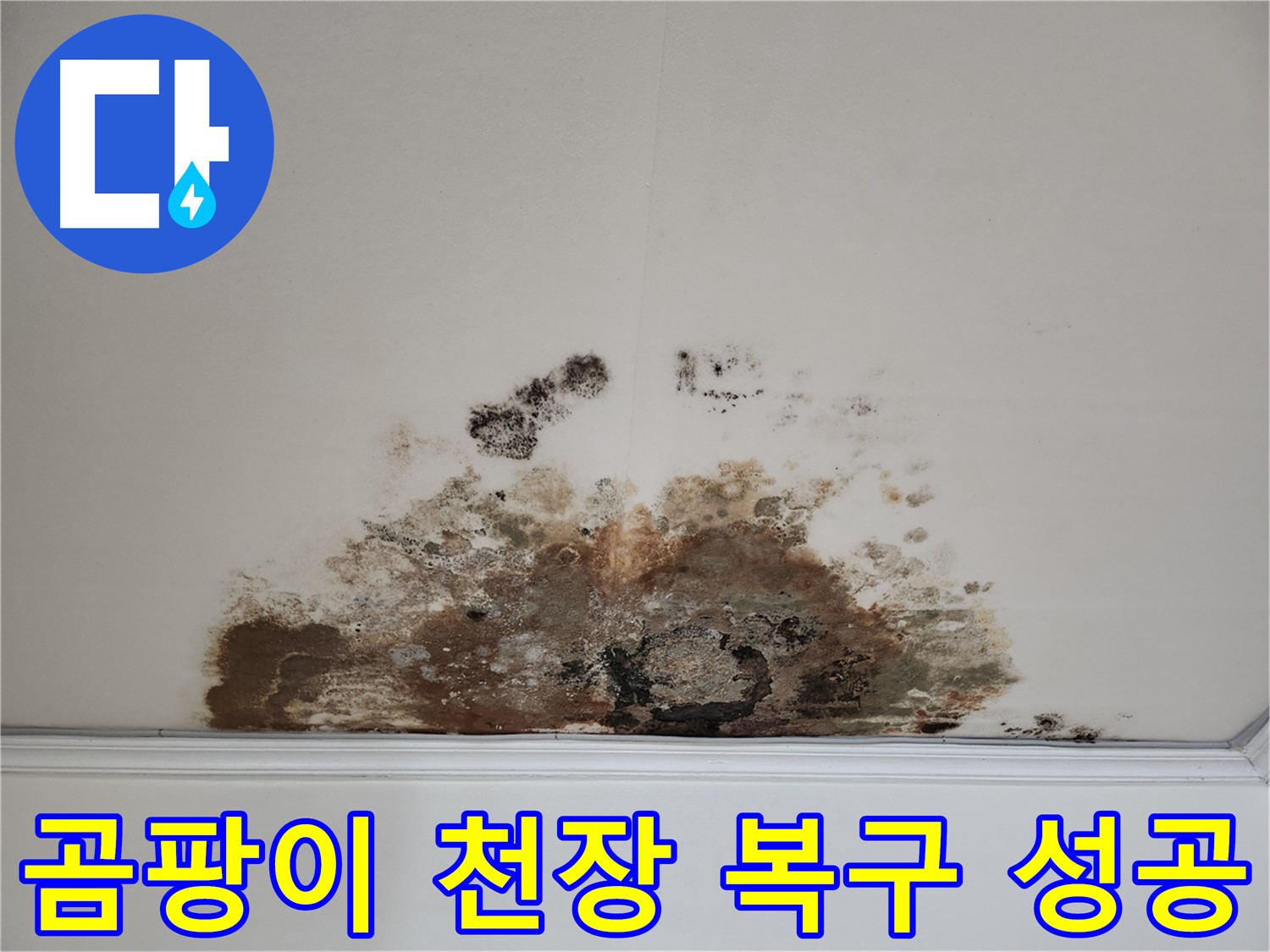 용강동 아파트 누수 - 곰팡이 핀 천장의 완벽 복구 성공 사례