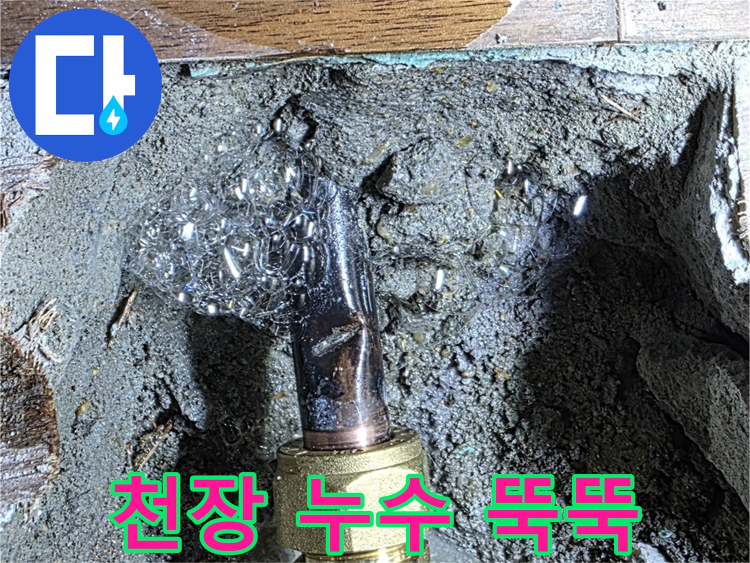 용강동 아파트 누수 - 천장에서 물이 뚝뚝 떨어지는 누수 상황