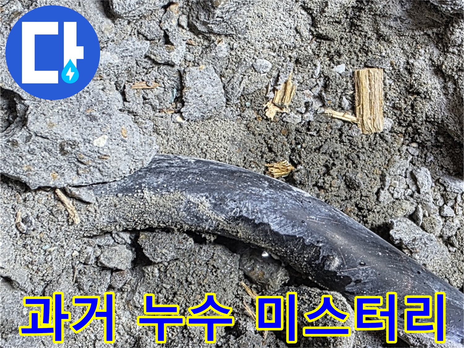 마포구 용강동 현대홈타운 - 젖은 흙과 곰팡이 냄새 - 심각한 누수 진행