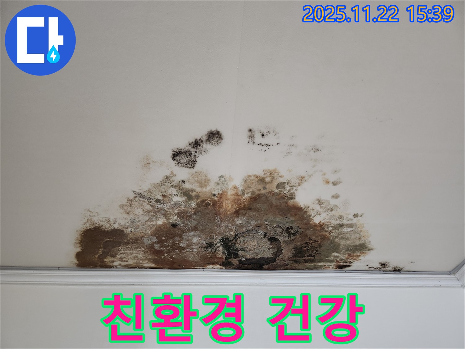 용강동 아파트 천장 - 곰팡이 천장, 친환경 시공! 가족 건강 지킴이!