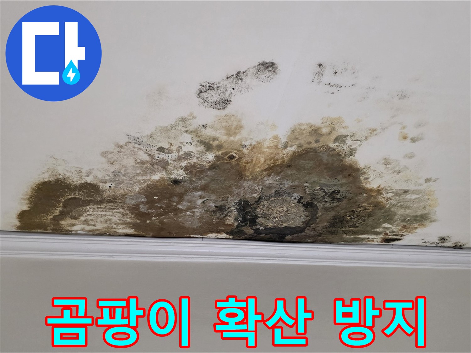 용강동 현대홈타운 누수 - 곰팡이 확산 방지를 위한 긴급 보수 작업