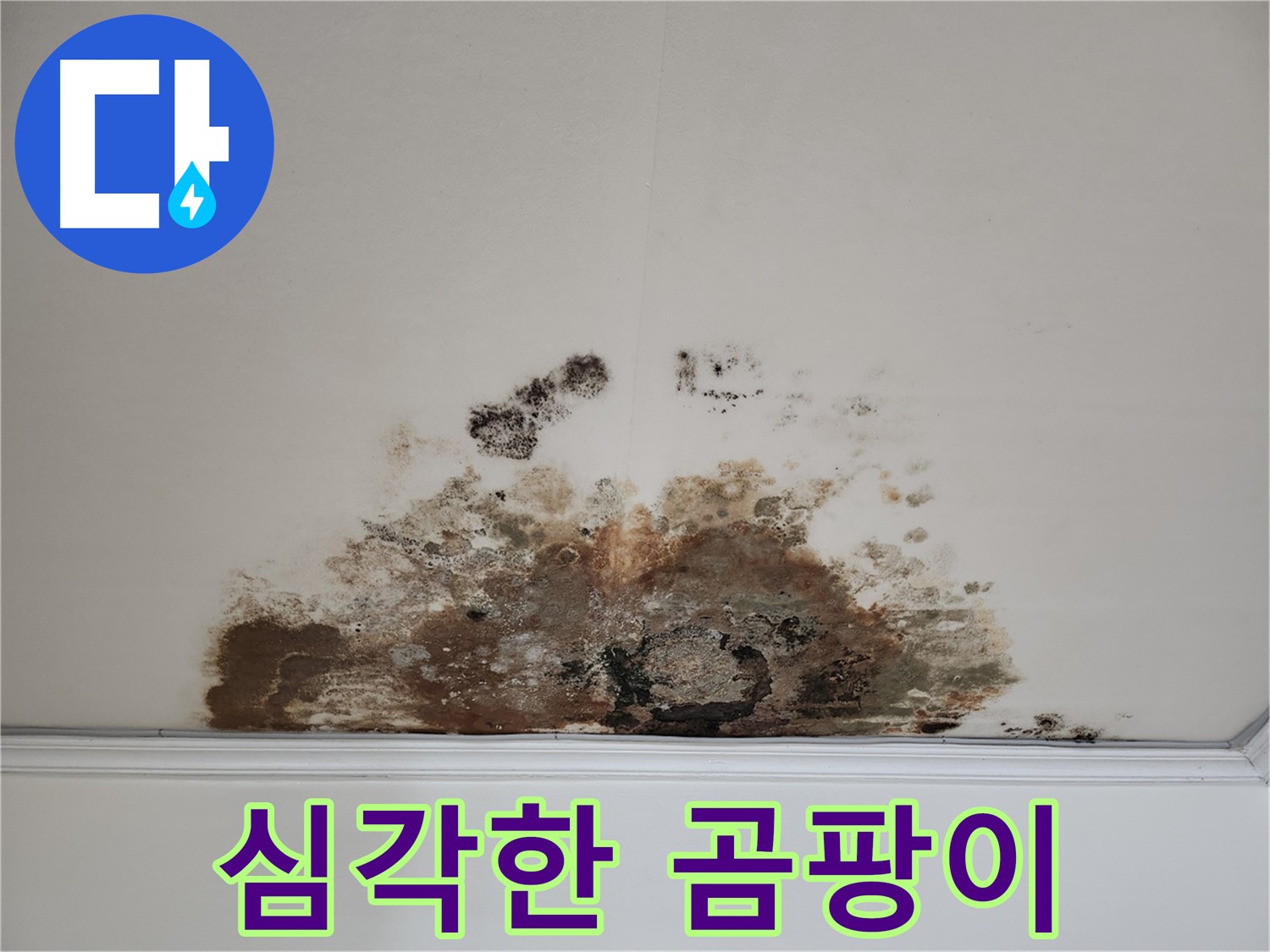 용강동 현대홈타운 누수 - 심각한 곰팡이 천장, 긴급 해결