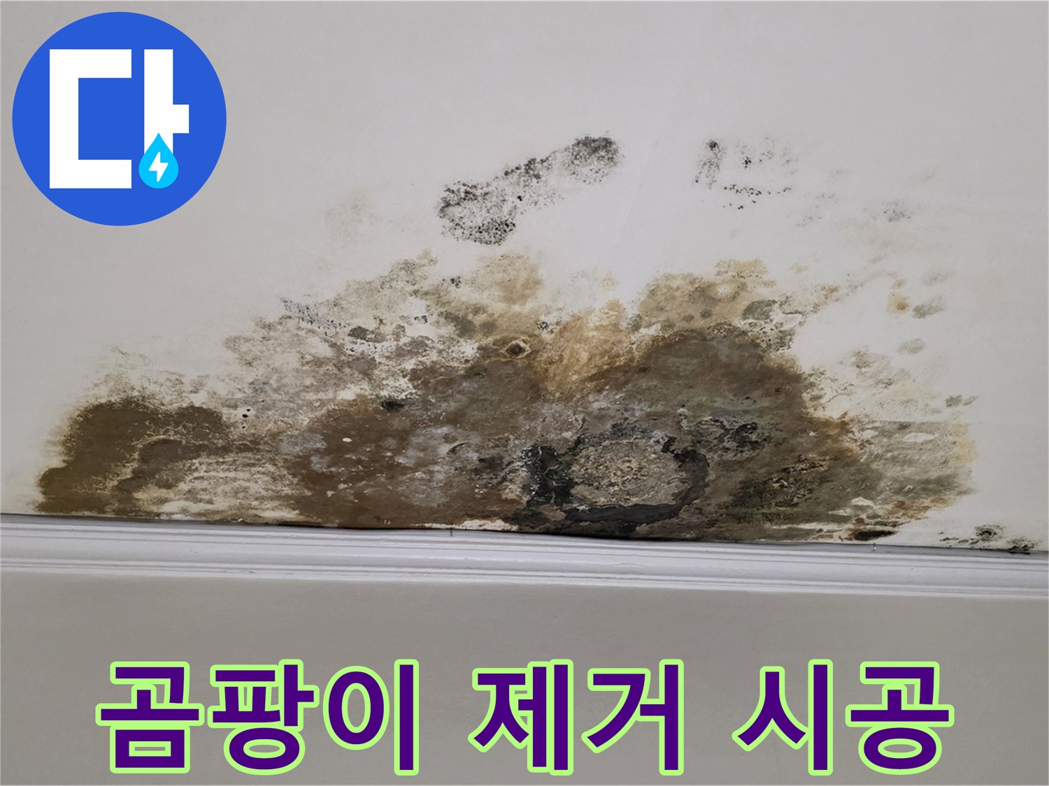 용강동 현대홈타운 아파트 누수 - 곰팡이 제거 및 재발 방지 꼼꼼 시공