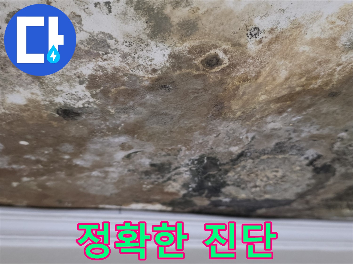 천장에 얼룩덜룩한 곰팡이 - 누수로 인해 천장에 얼룩덜룩하게 곰팡이가 핀 상태를 보여줍니다.