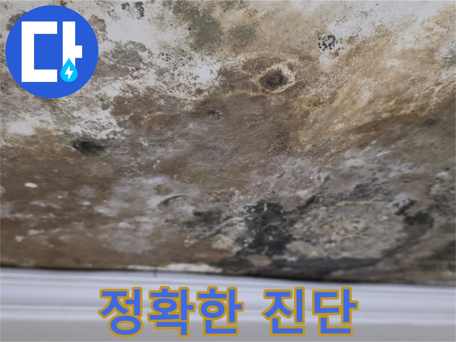 천장에 얼룩덜룩한 곰팡이 - 누수로 인해 천장에 얼룩덜룩하게 곰팡이가 핀 상태를 보여줍니다.