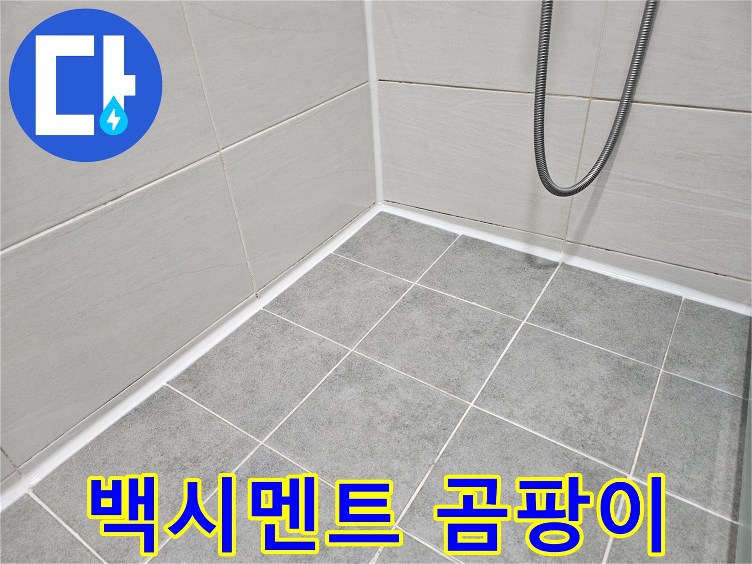 마포구 도화동 현대아파트 욕실 - 타일 틈새 백시멘트 곰팡이 제거 작업을 진행하고 있습니다.