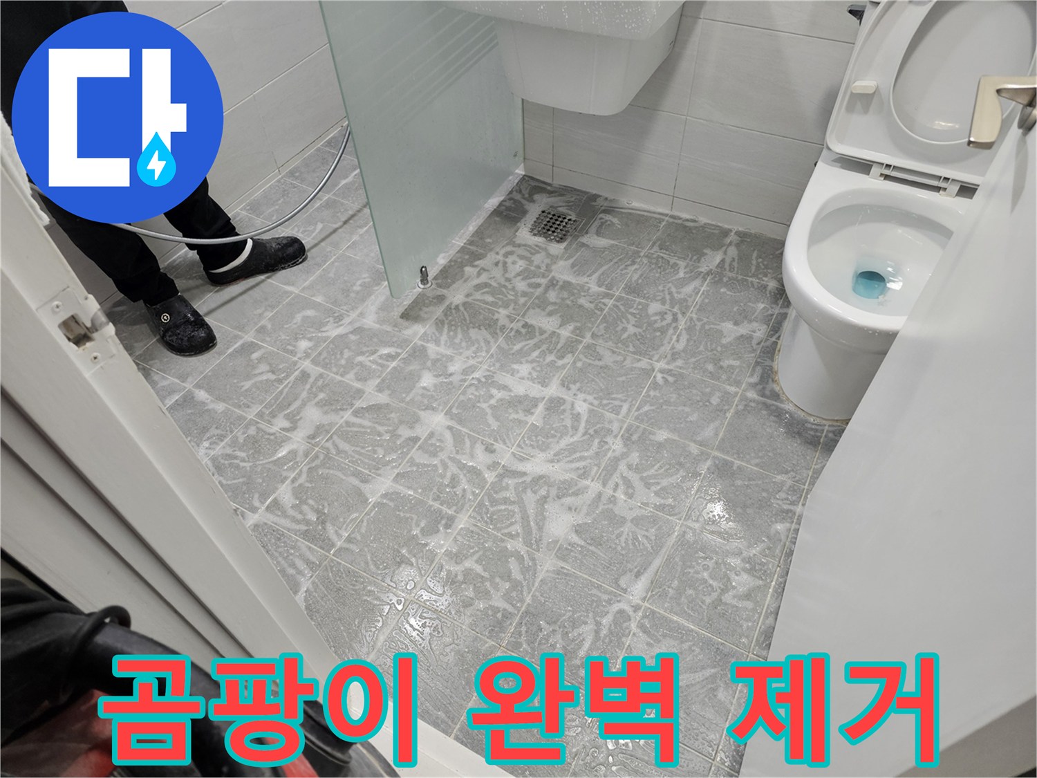 욕실 곰팡이 완벽 제거 - 깨끗하고 건강한 욕실
