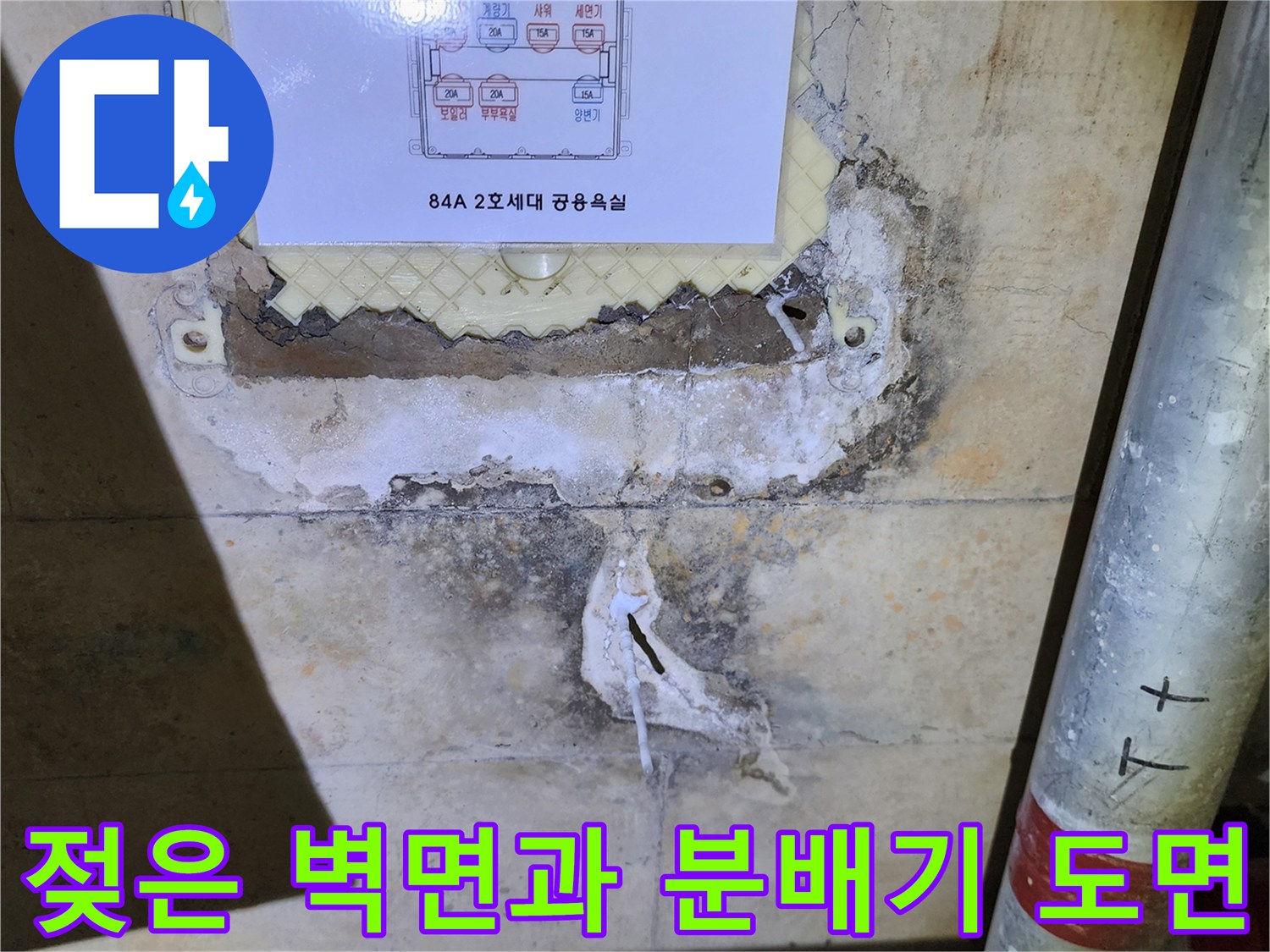 물에 젖어 변색된 배관함 내부 벽면과 상세 안내도