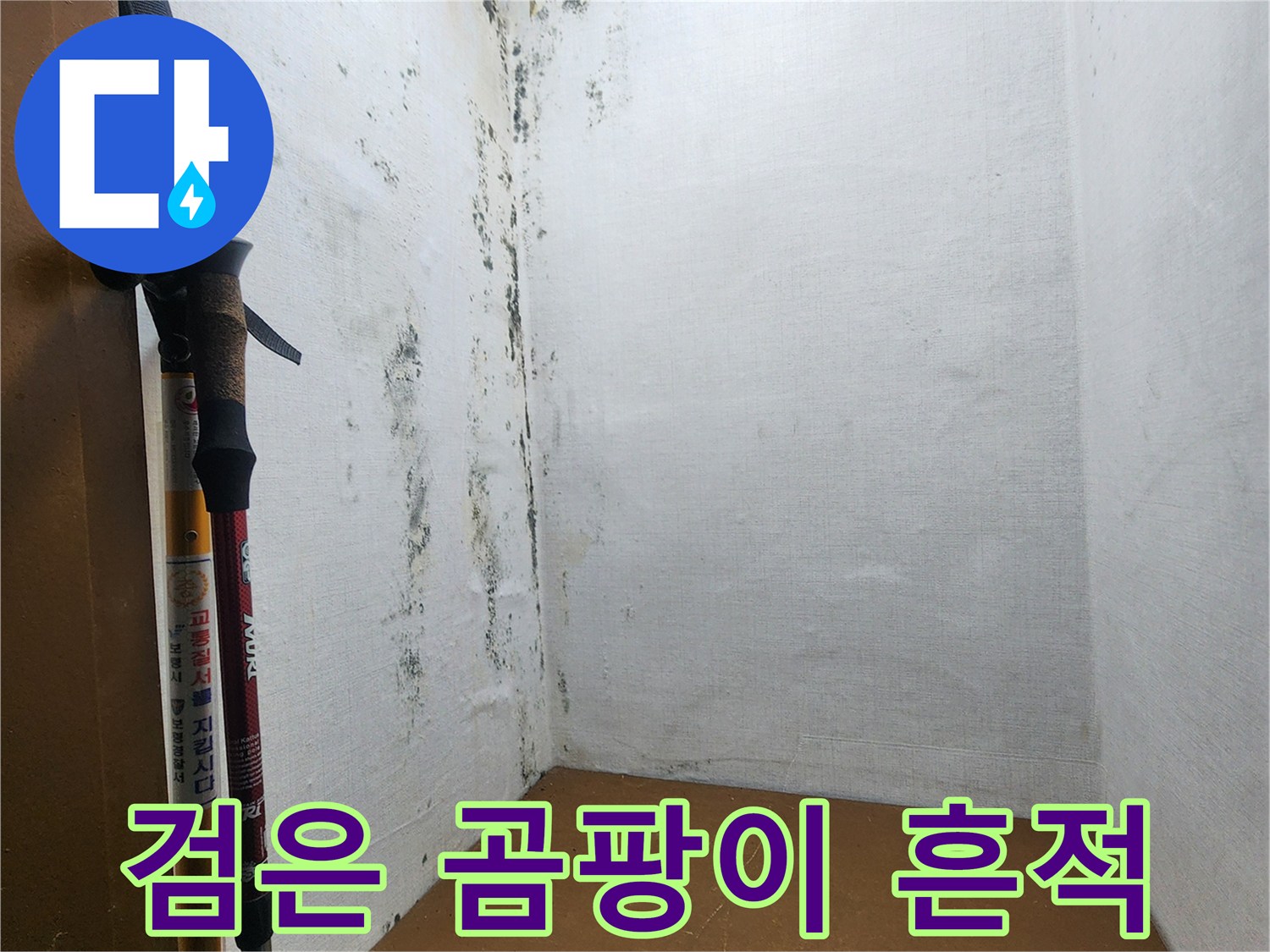 누수로 인한 수분 유입과 곰팡이가 발생한 벽면