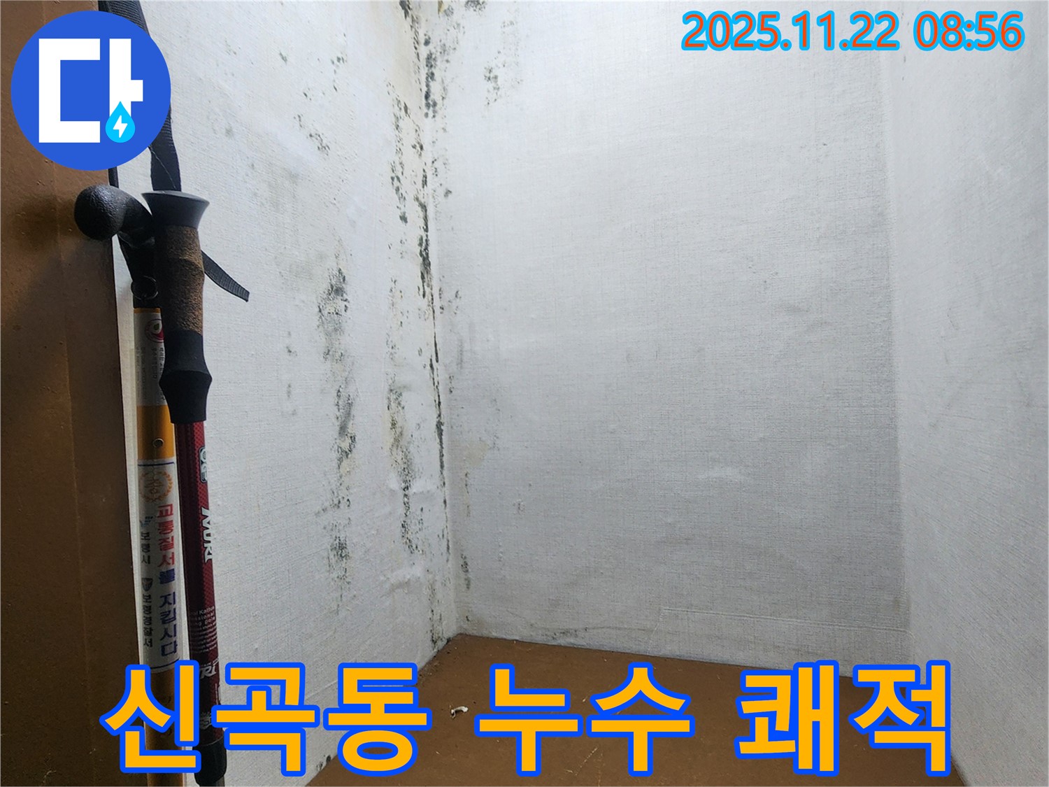 곰팡이 제거 및 방수 시공 - 누수 문제 해결