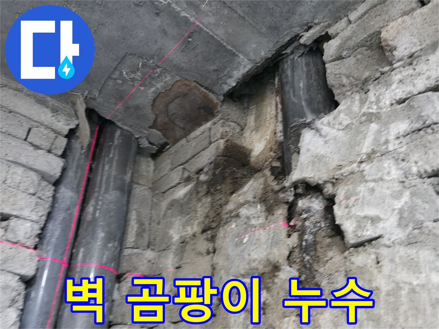 서초구 서초동 건물 누수 - 벽 곰팡이가 심하게 발생한 누수 현장으로 건강까지 위협합니다.