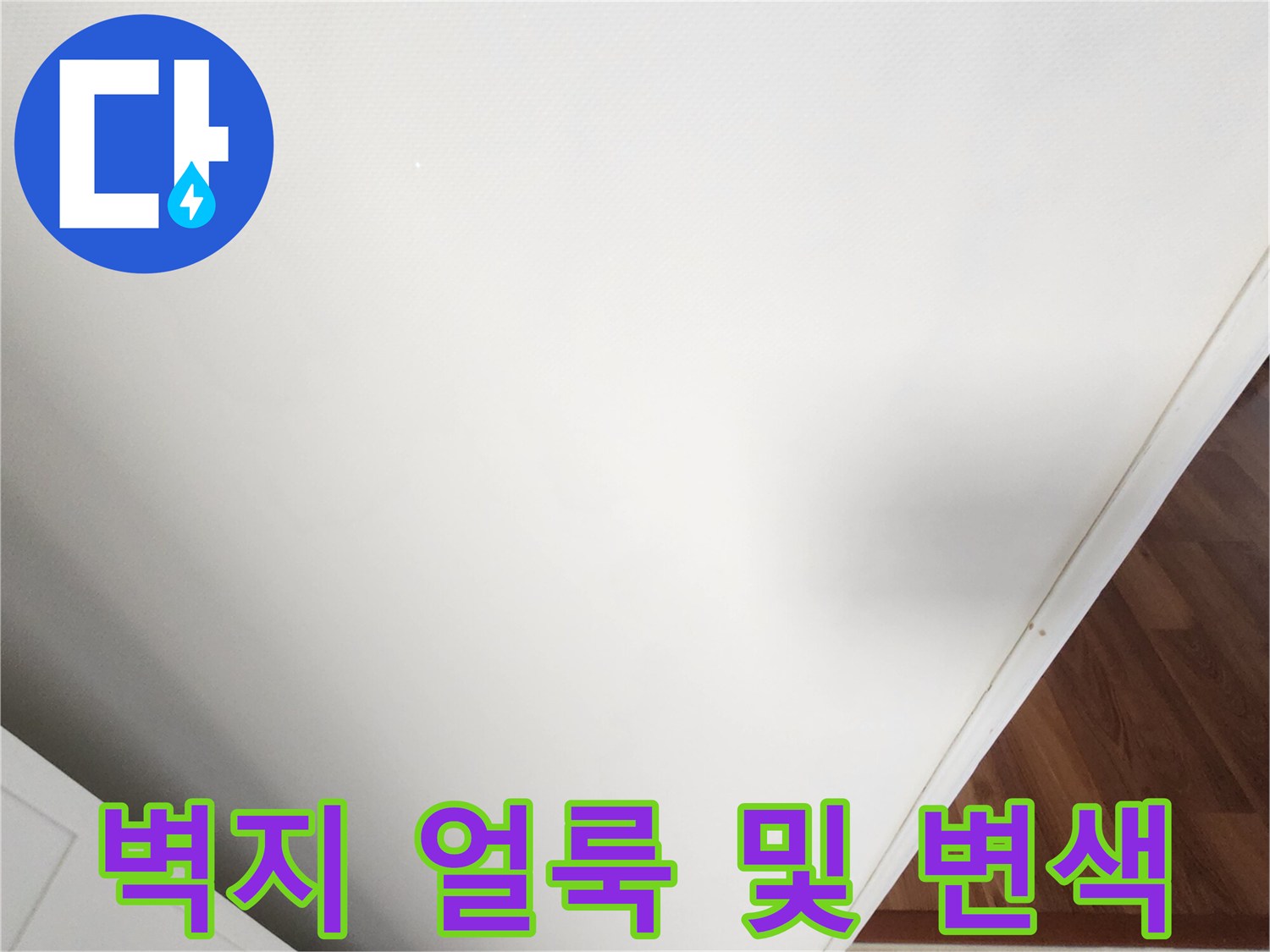 가산면 현장-거실 벽지 얼룩과 누수 전조 확인
