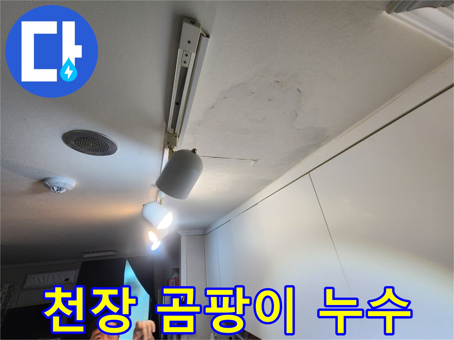 노원구 공릉동 아파트 천장 누수 - 곰팡이 핀 누수 흔적 발견 - 꼼꼼한 진단