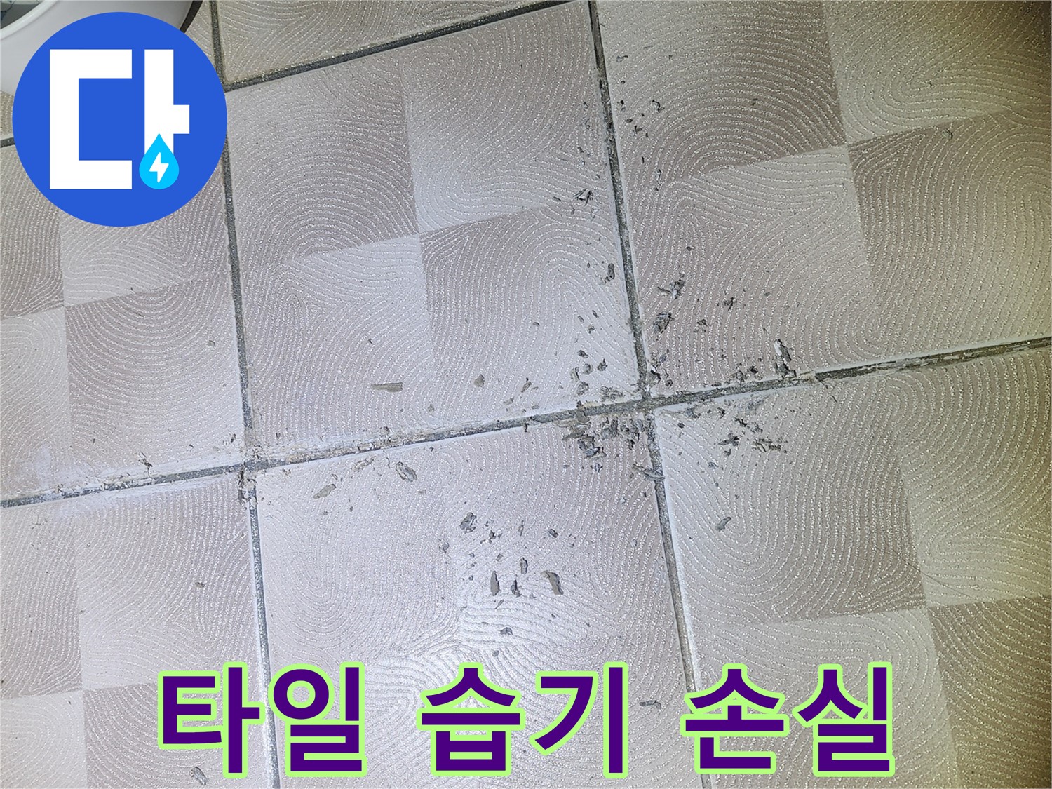센트럴타운로 76 누수 - 욕실 바닥 타일 틈새 백시멘트 손실 및 습기 발생 상태
