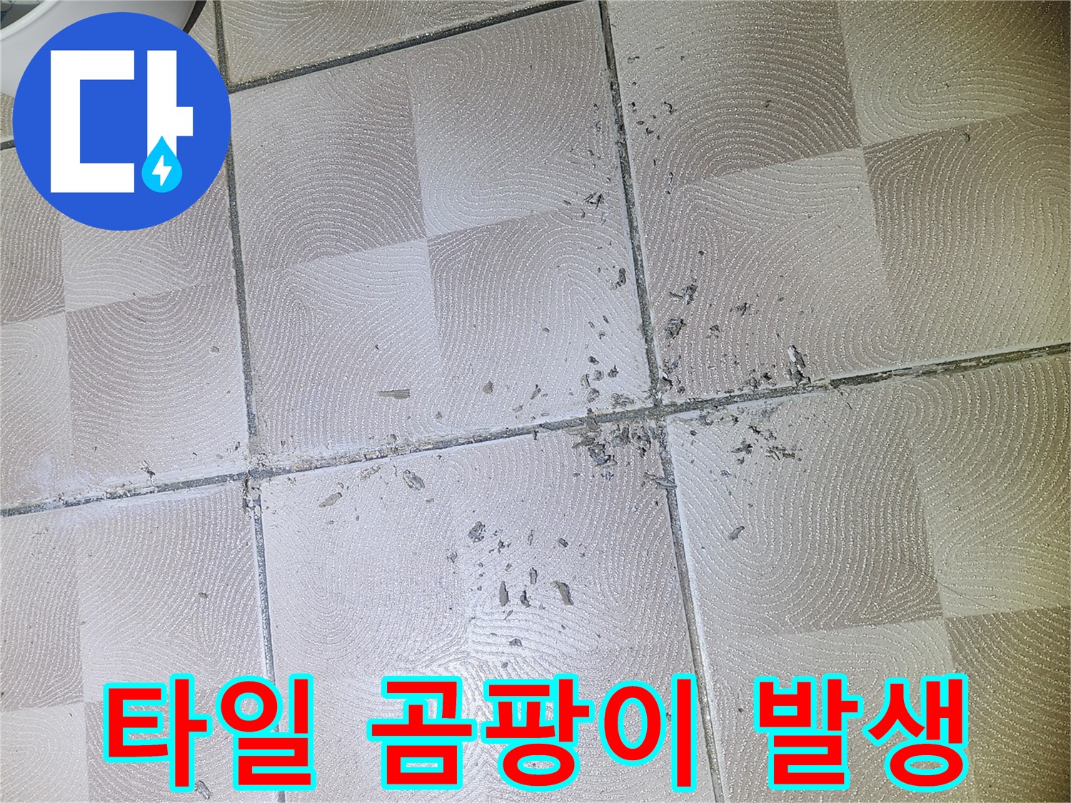 수원 영통 누수 - 깨진 타일 주변 백시멘트 가루 및 곰팡이 발생 상태 확인