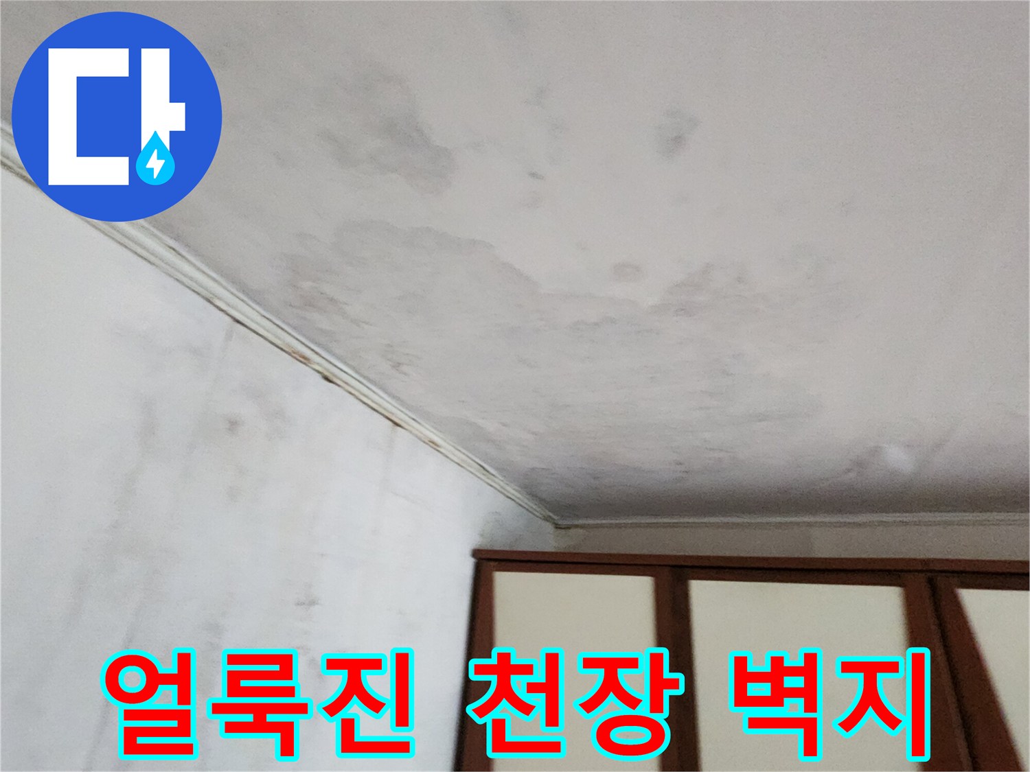누수로 인해-곰팡이가 번식한 천장 내부 상태