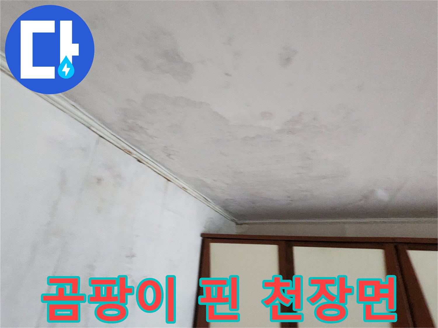 습기가 스며든-천장 벽지의 곰팡이 오염 부위