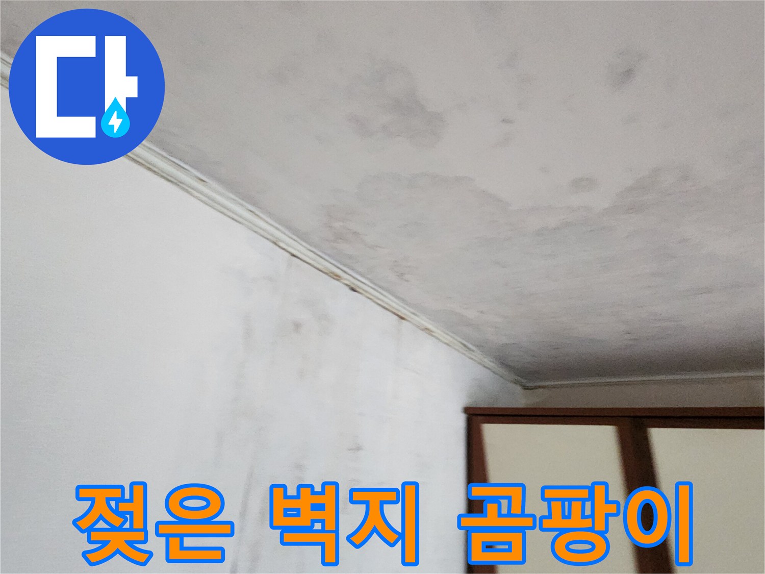 습기로 인해 변색된 천장과 벽면의 오염 부위