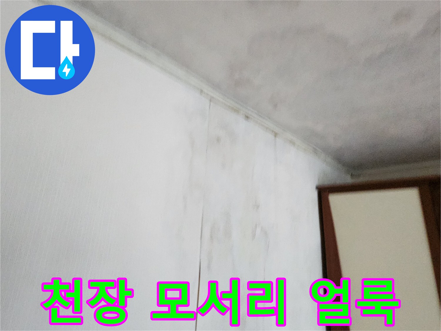 천장과-벽면-사이의-심한-변색과-곰팡이
