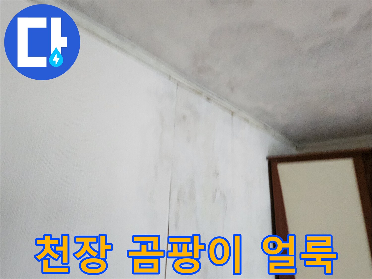 포천 가산면 현장의 천장 벽지 곰팡이 및 습기 흔적