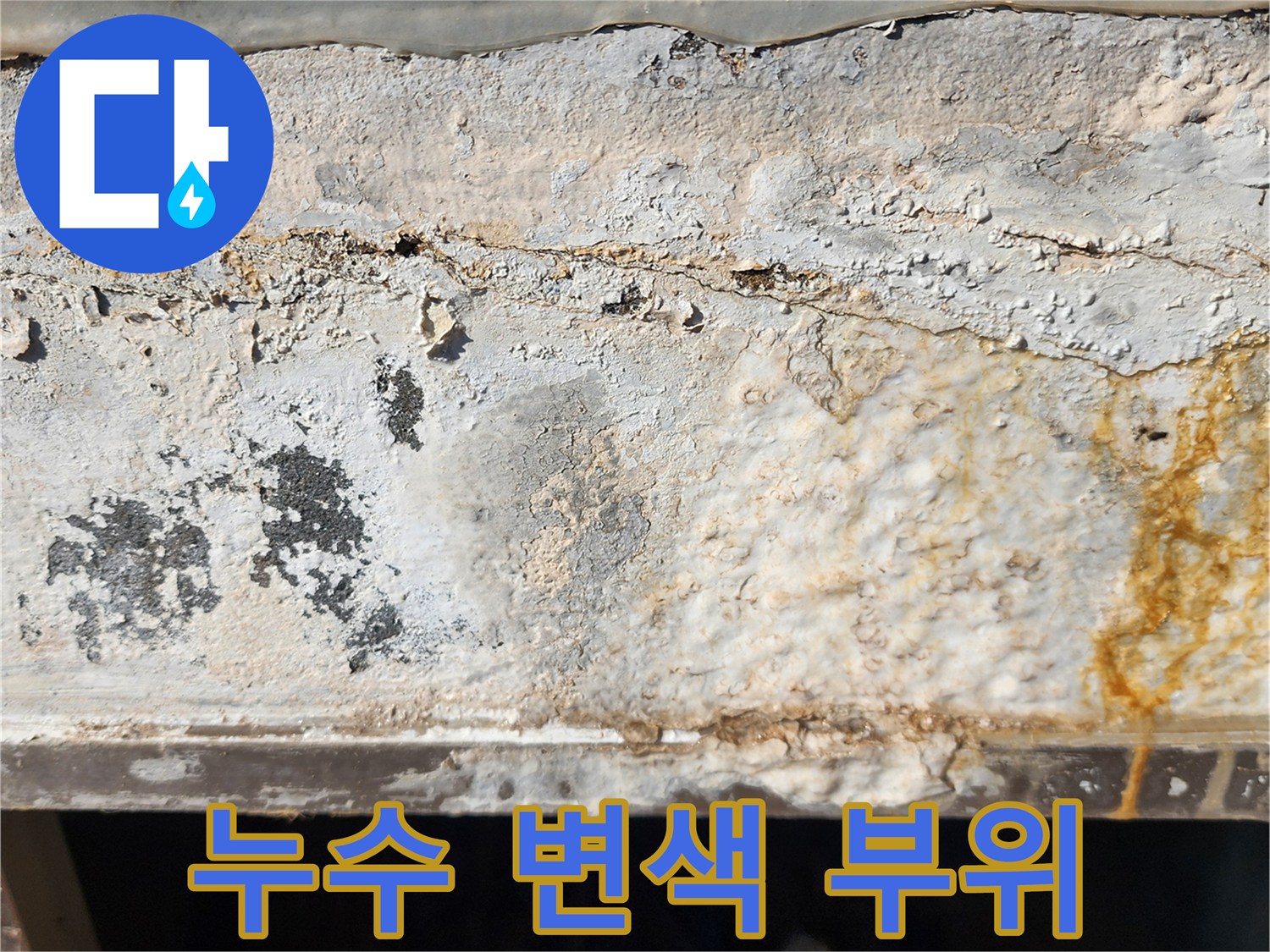 신북면 외벽-황색 얼룩과 습기가 관찰되는 벽체 표면