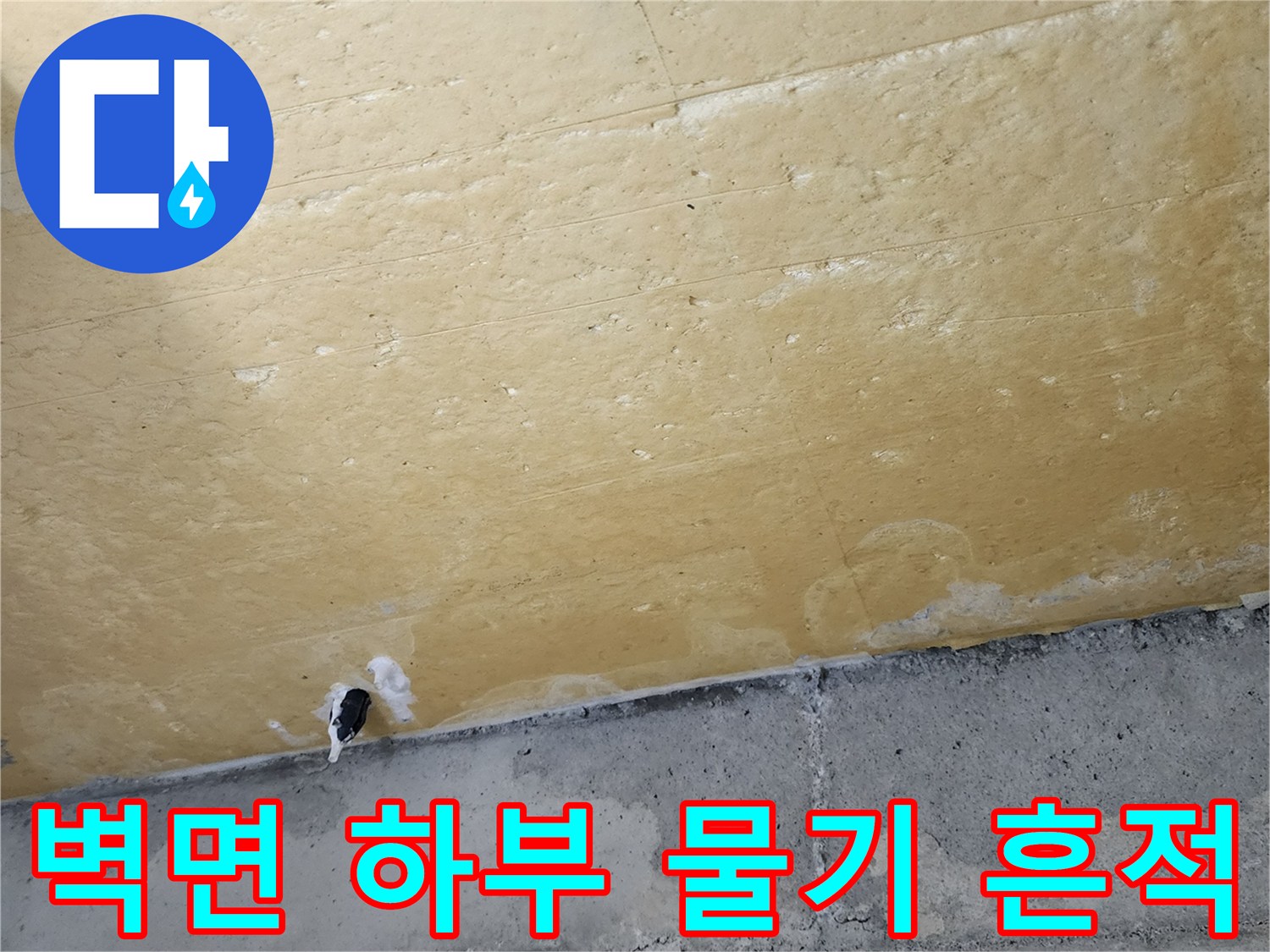 단열재 경계-습기가 스며든 단열재와 콘크리트 면