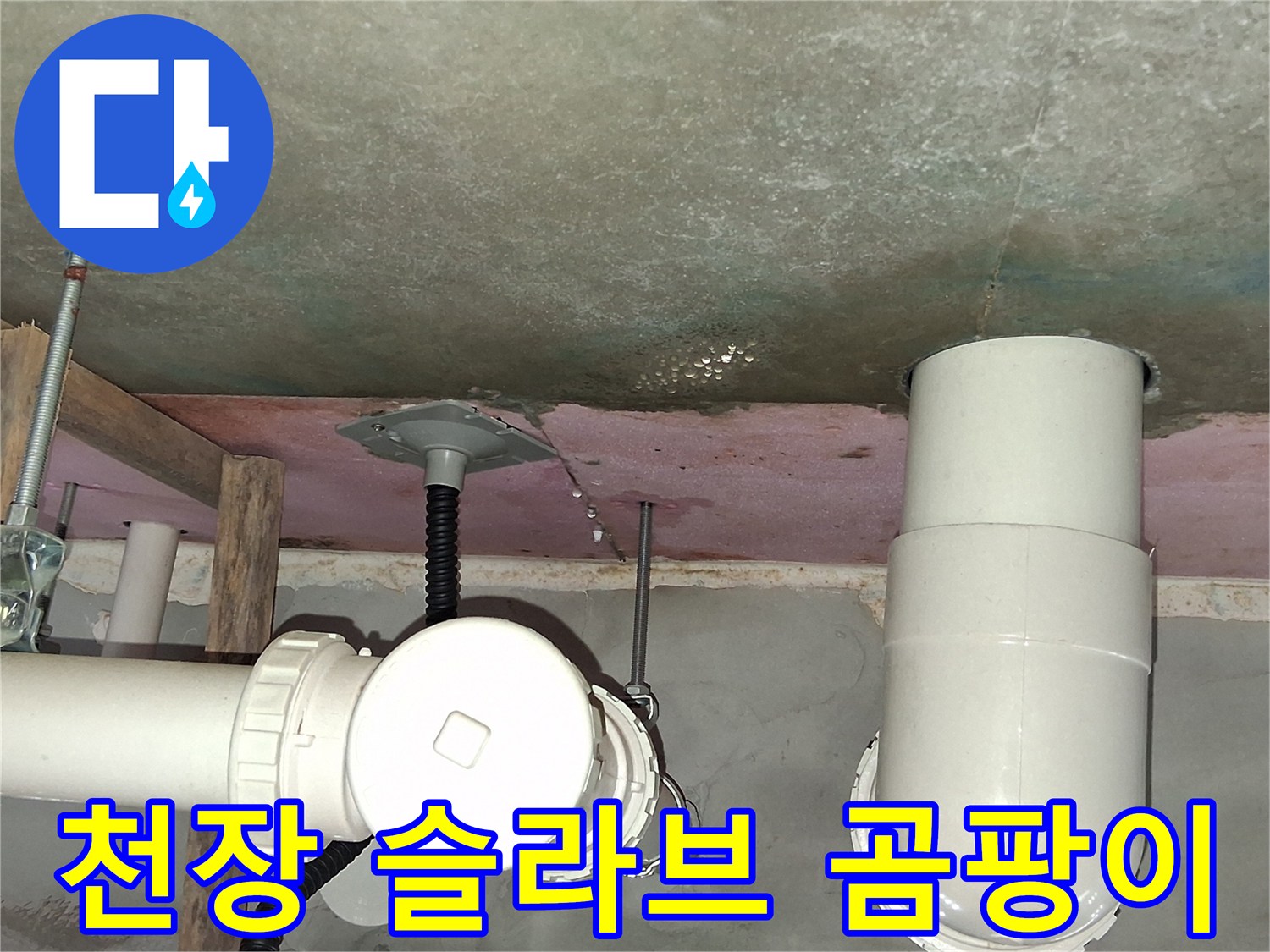 영통구-화장실-천장-슬라브-곰팡이-및-습기-상태