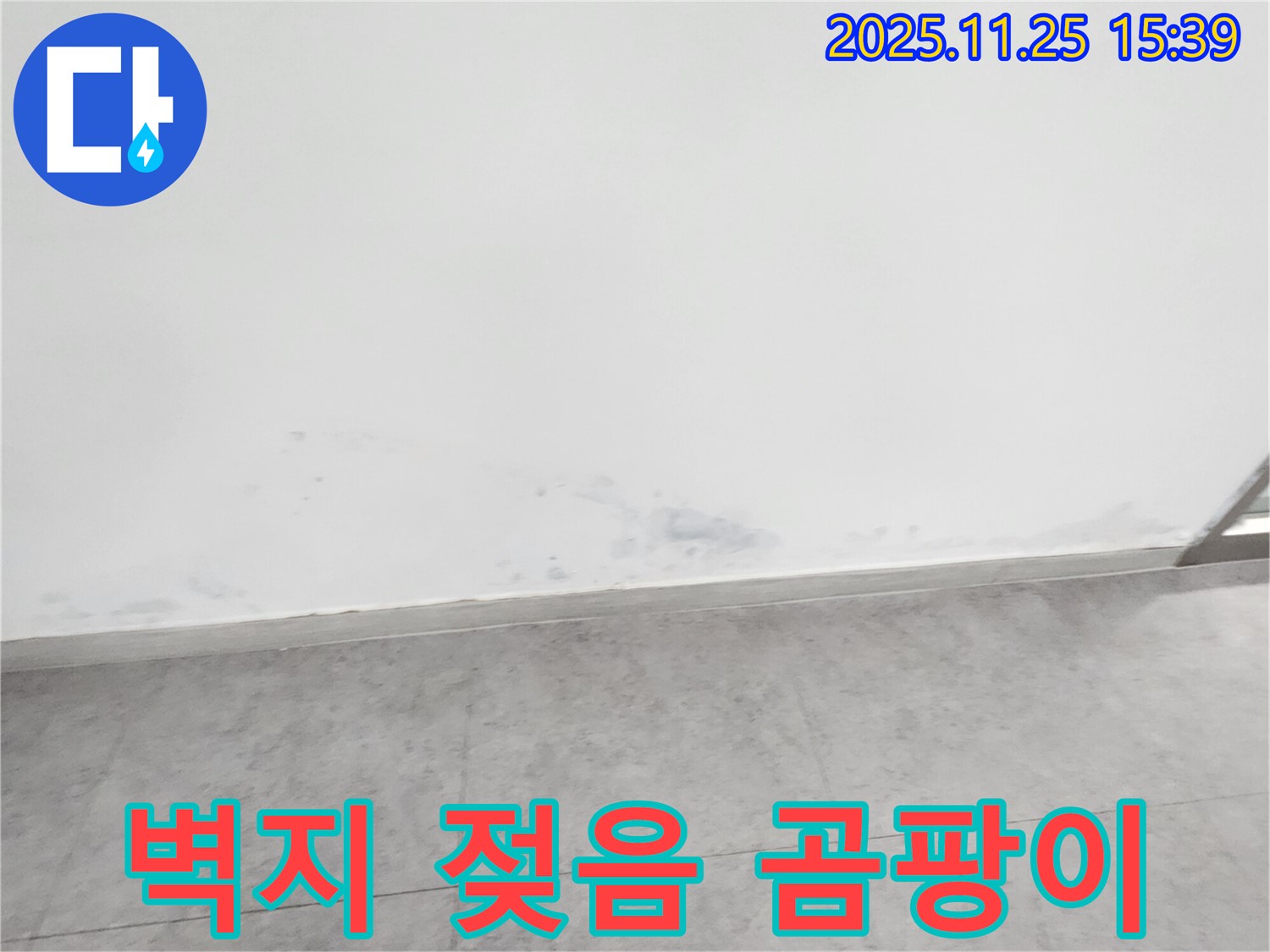 포천시 만세교리 - 누수 초기 증상 - 벽지 젖음과 곰팡이, 빠른 조치가 필요합니다.