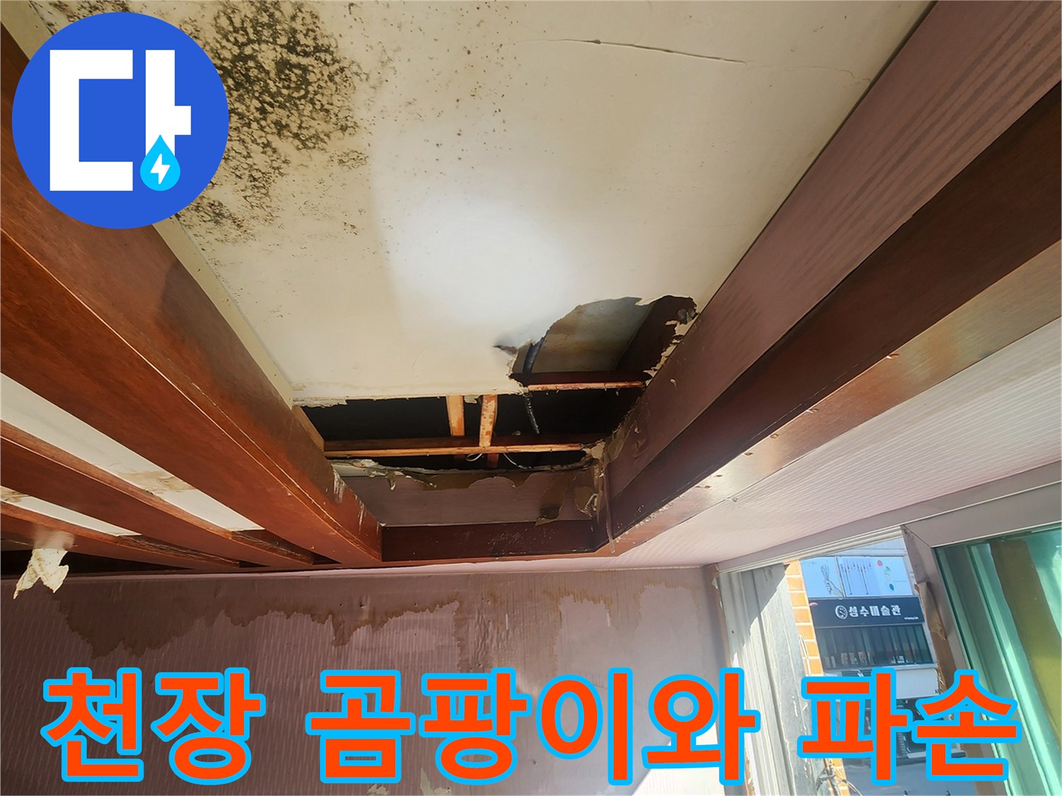 포천 신북면 현장의 곰팡이가 발생한 천장과 파손된 마감재 상태