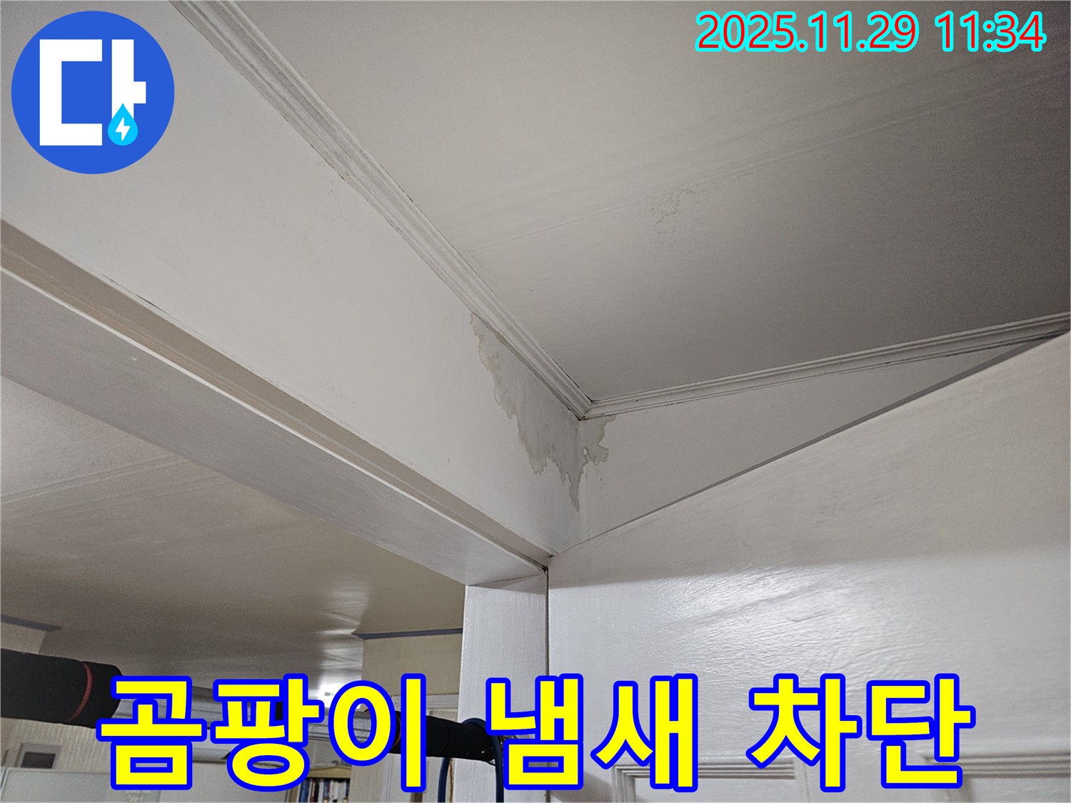 파주 광탄 누수 - 곰팡이 냄새 진동, 완벽 차단 & 쾌적한 공간으로 변신!