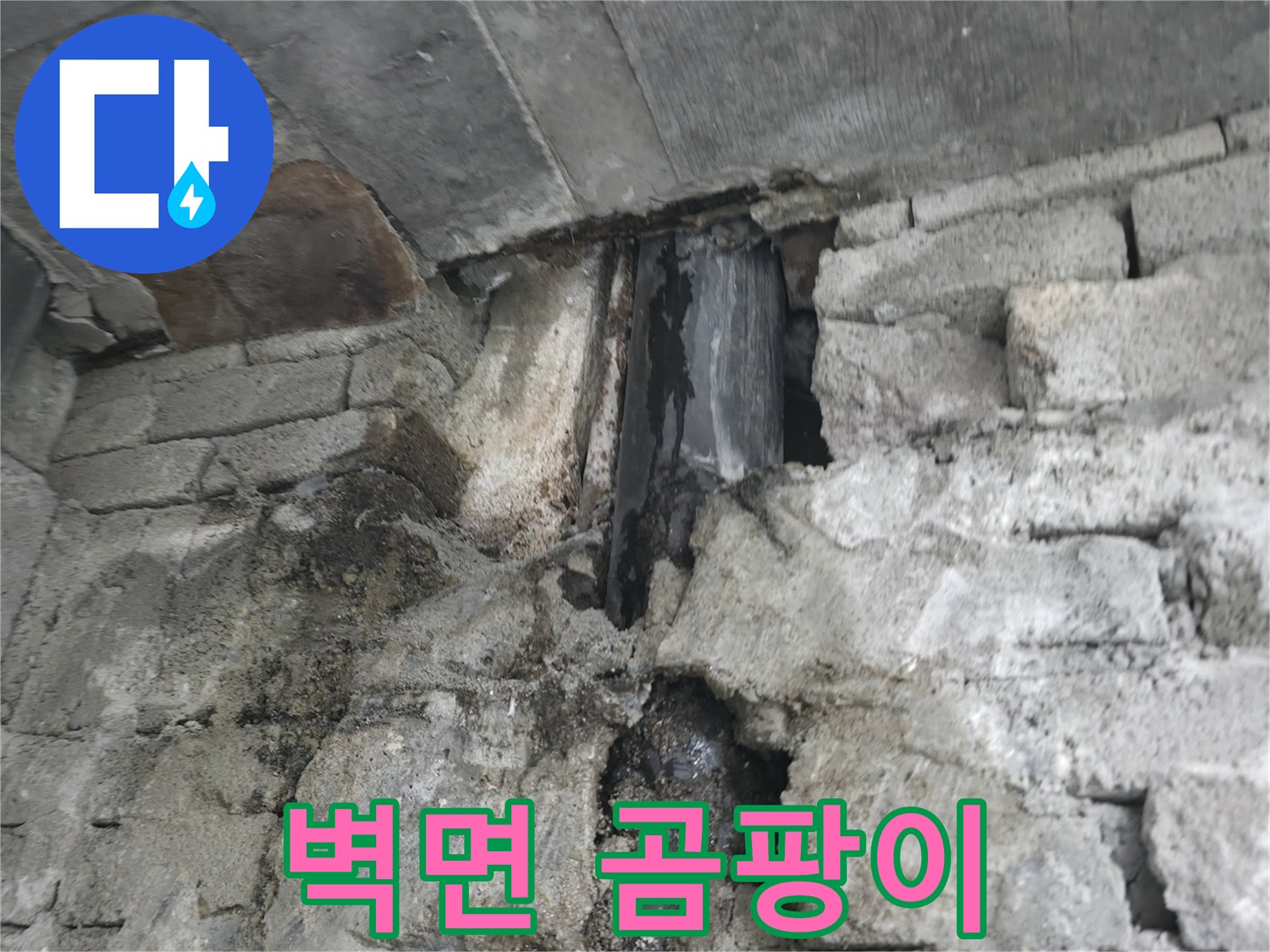 벽면 곰팡이 심각 - 누수로 인해 벽면에 곰팡이가 심하게 발생하여 곰팡이 냄새가 나는 상황입니다.