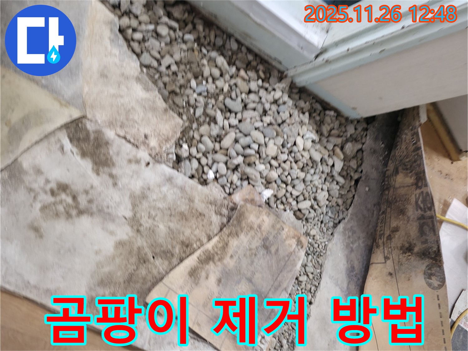 서초2동 누수 - 곰팡이 건강 위협 - 안전한 제거