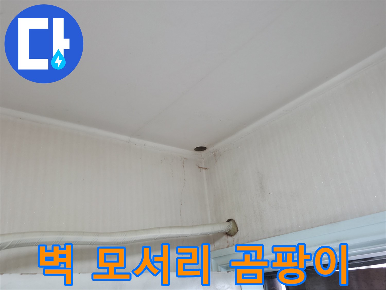 서초2동 명달로4길 벽 모서리 곰팡이 - 습한 환경 주의!