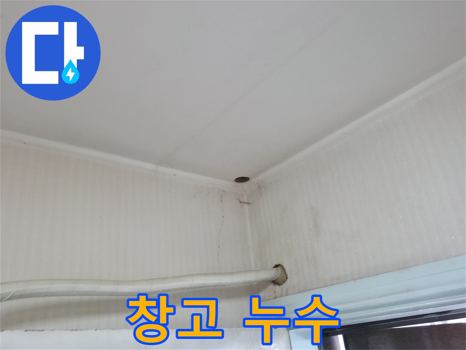 서초2동 명달로4길 창고 누수 - 곰팡이 번식 주의!