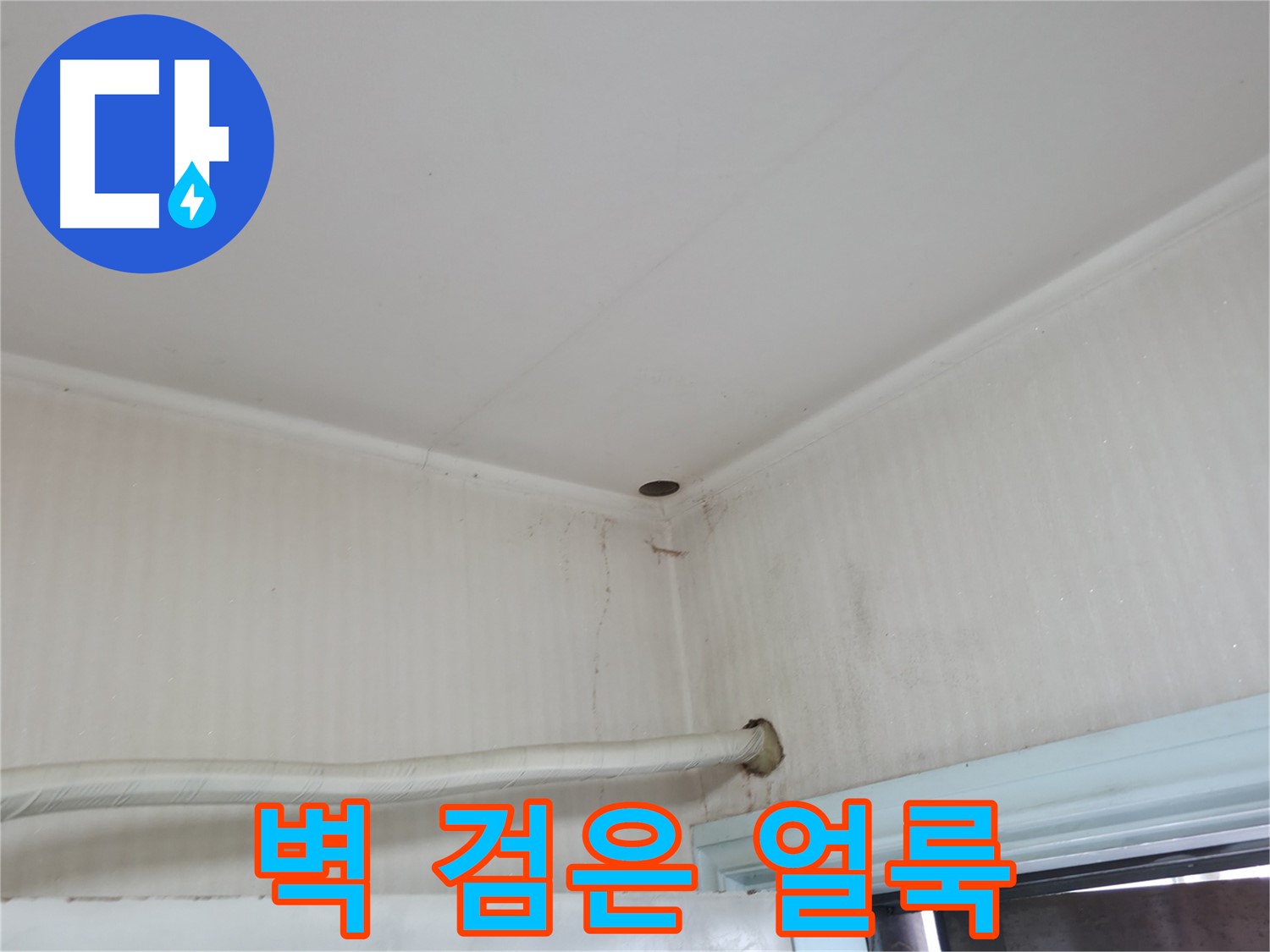 서초2동 벽 검은 얼룩 - 곰팡이와 누수의 합작품일 수 있습니다.