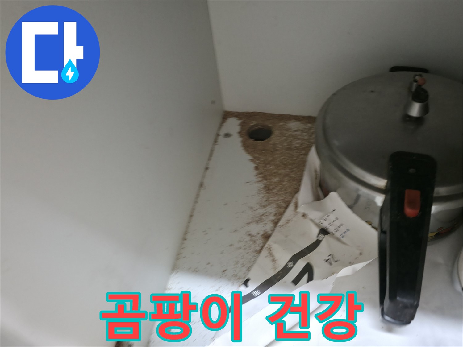 싱크대 밑 - 톱밥 - 전기 합선 위험 - 안전 점검 필수