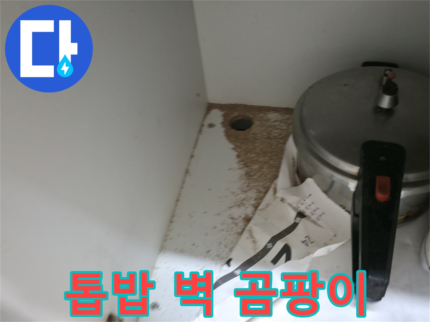 싱크대 밑 - 합판 손상 - 정확 진단 - 원인 파악
