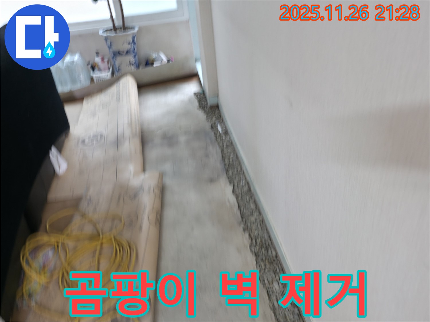 서초구 서초2동 곰팡이 핀 벽 완벽 제거 - 쾌적한 공간으로 변신!