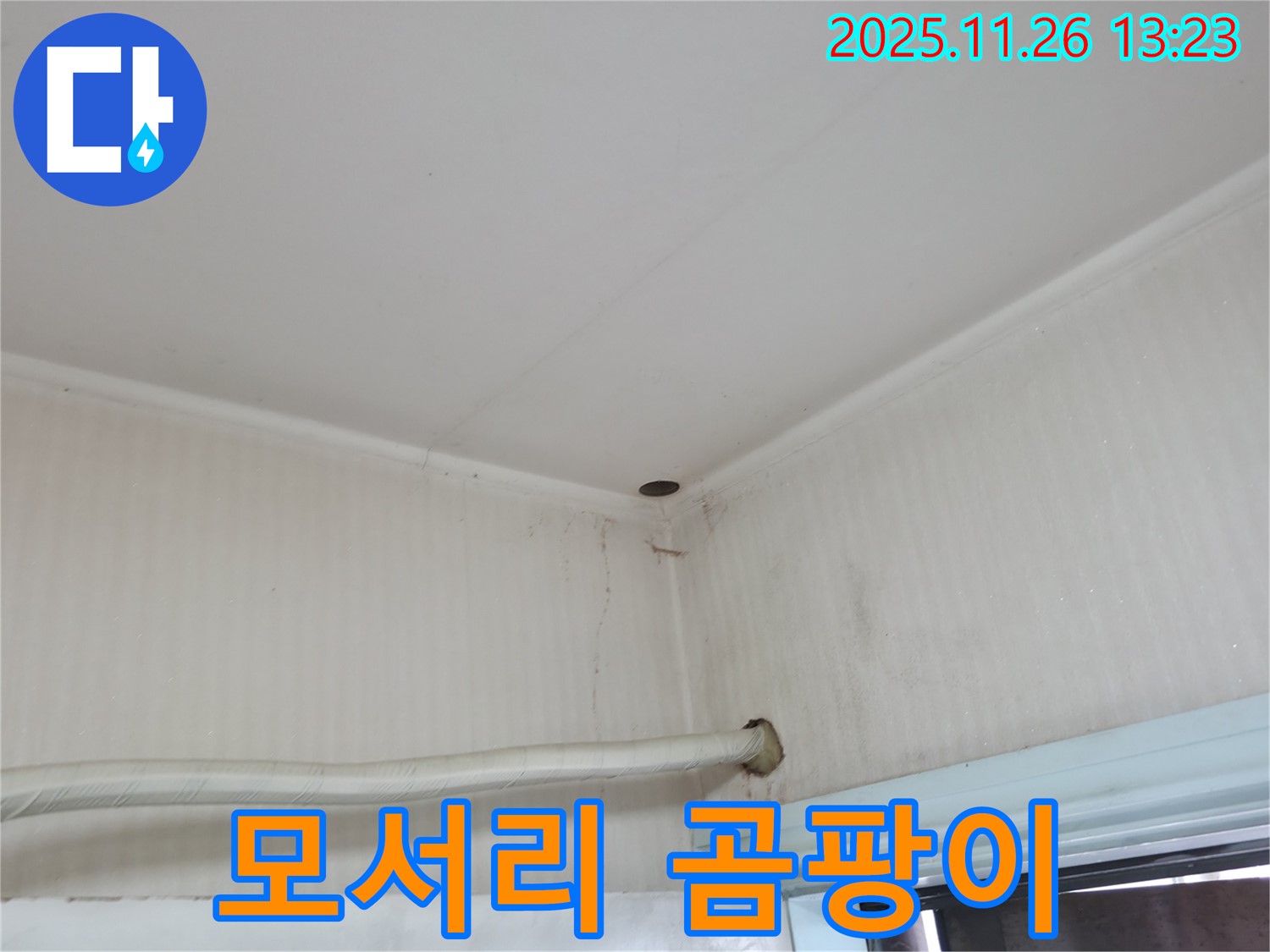 서초구 서초2동 누수 - 벽 모서리에 핀 곰팡이, 결로와 누수를 구별해야 합니다.