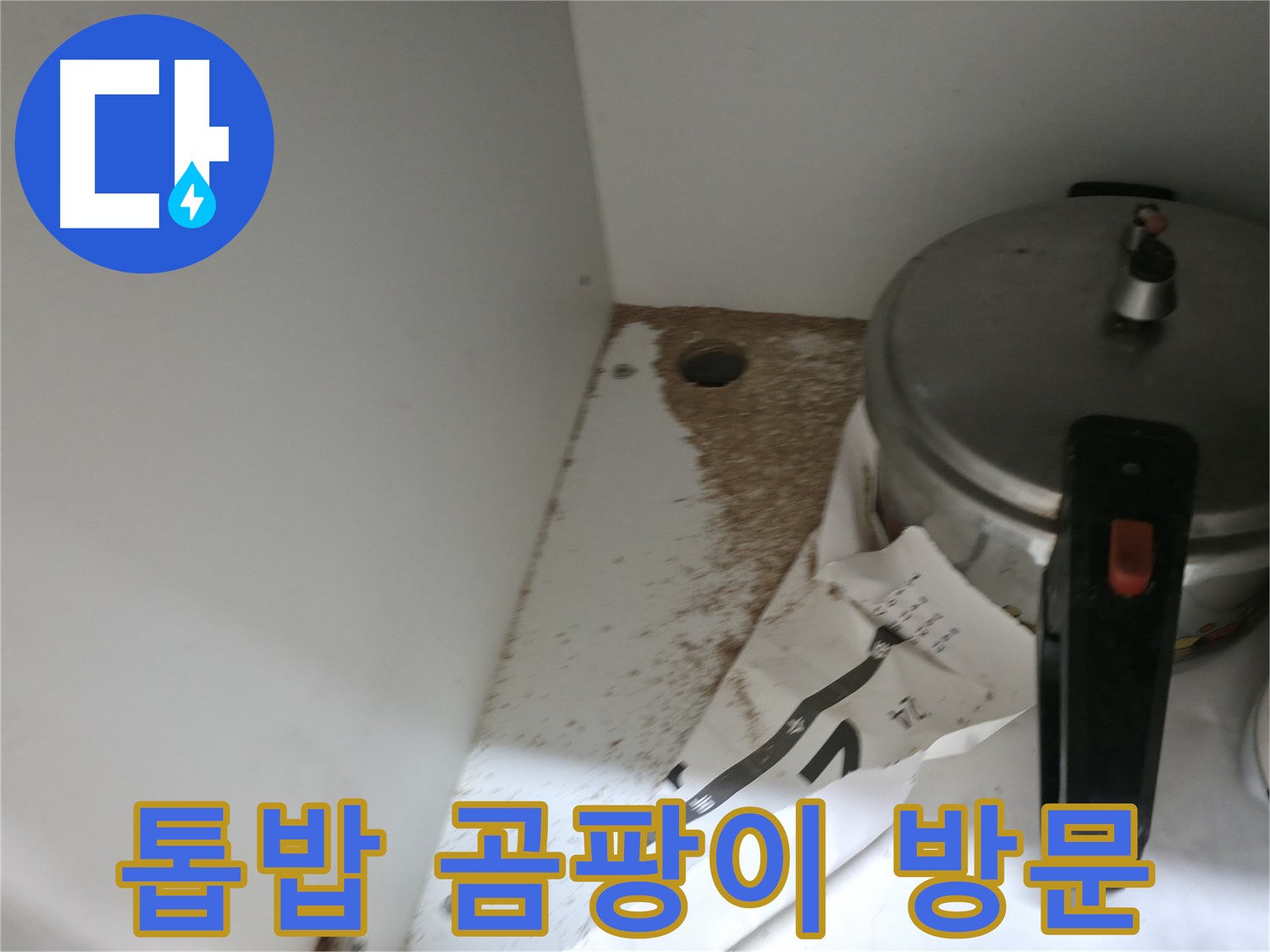 싱크대 누수 - 톱밥 - 꼼꼼한 진단 - 완벽한 시공 약속