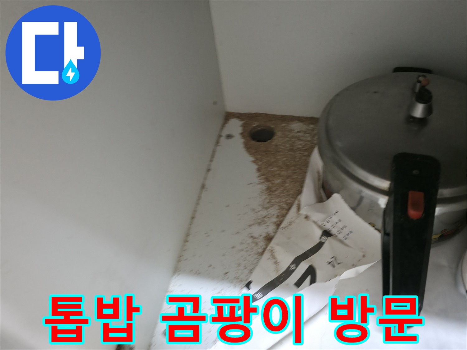 서초구 서초2동 싱크대 누수 - 톱밥, 곰팡이 냄새 24시간 긴급 방문 즉시 해결