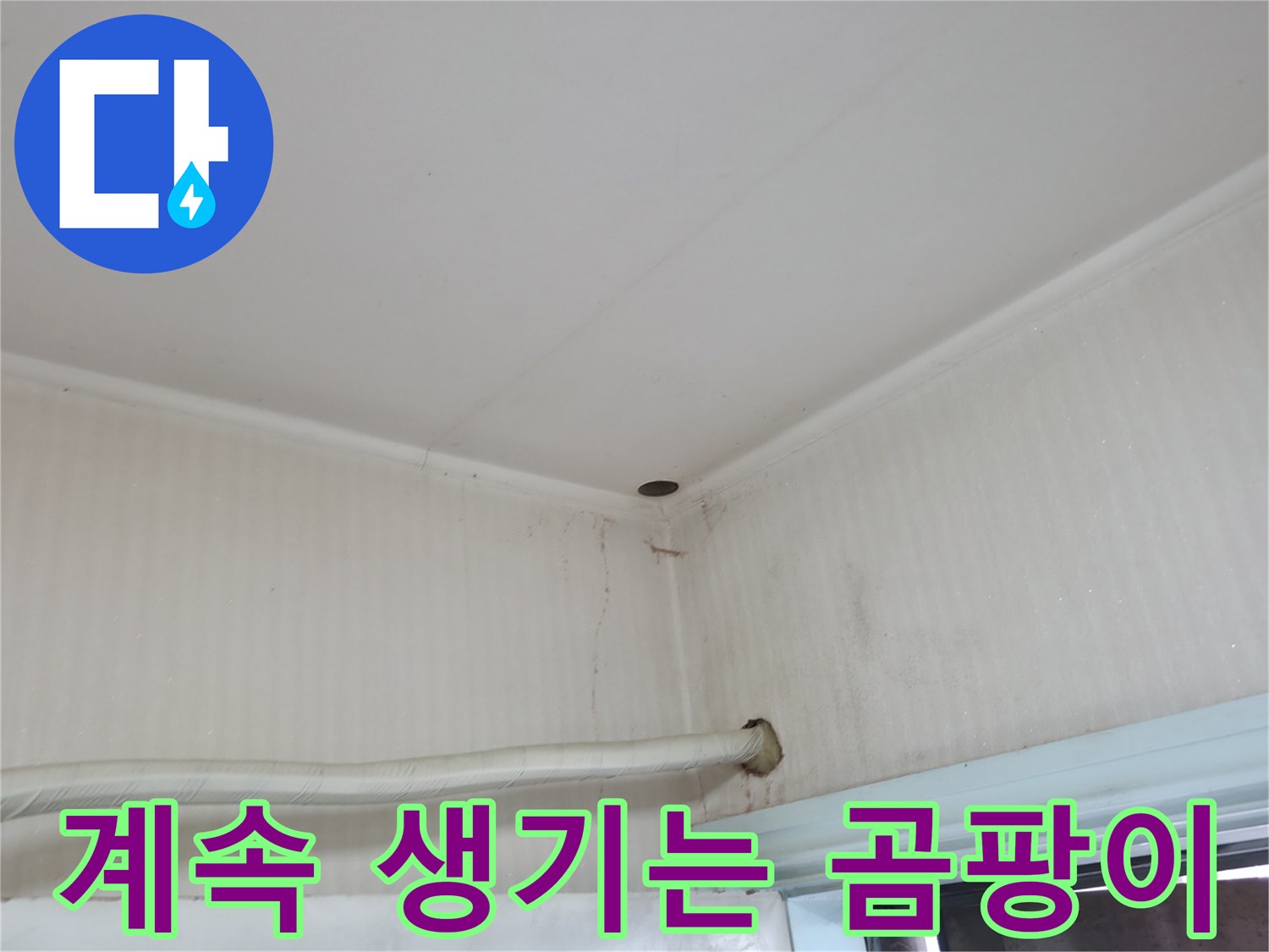 서초구 서초동 누수 - 벽에 핀 곰팡이를 닦아도 계속 생긴다면 누수가 원인일 수 있습니다.